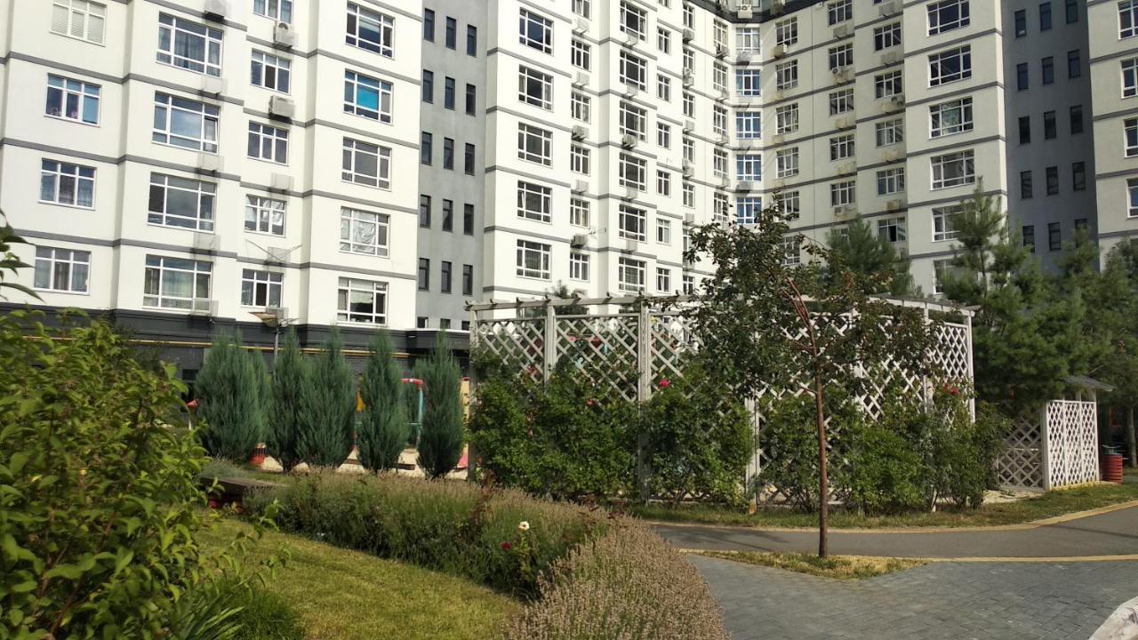 Fly Up Home Apartment Boryspil Zewnętrze zdjęcie